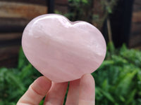 Polished Rose Quartz Hearts x 6 From Ambatondrazaka, Madagascar