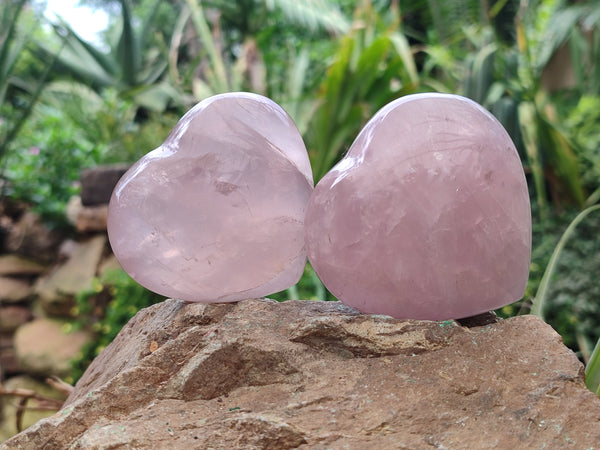 Polished Rose Quartz Hearts x 6 From Ambatondrazaka, Madagascar