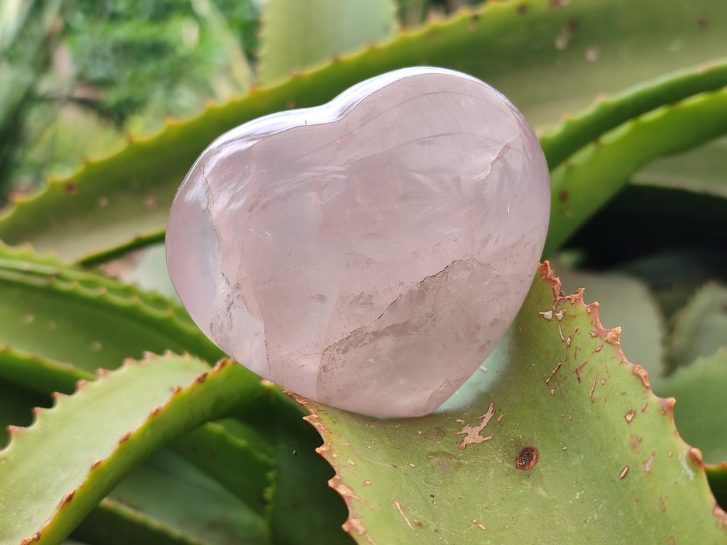 Polished Rose Quartz Hearts x 6 From Ambatondrazaka, Madagascar - Toprock Gemstones and Minerals 