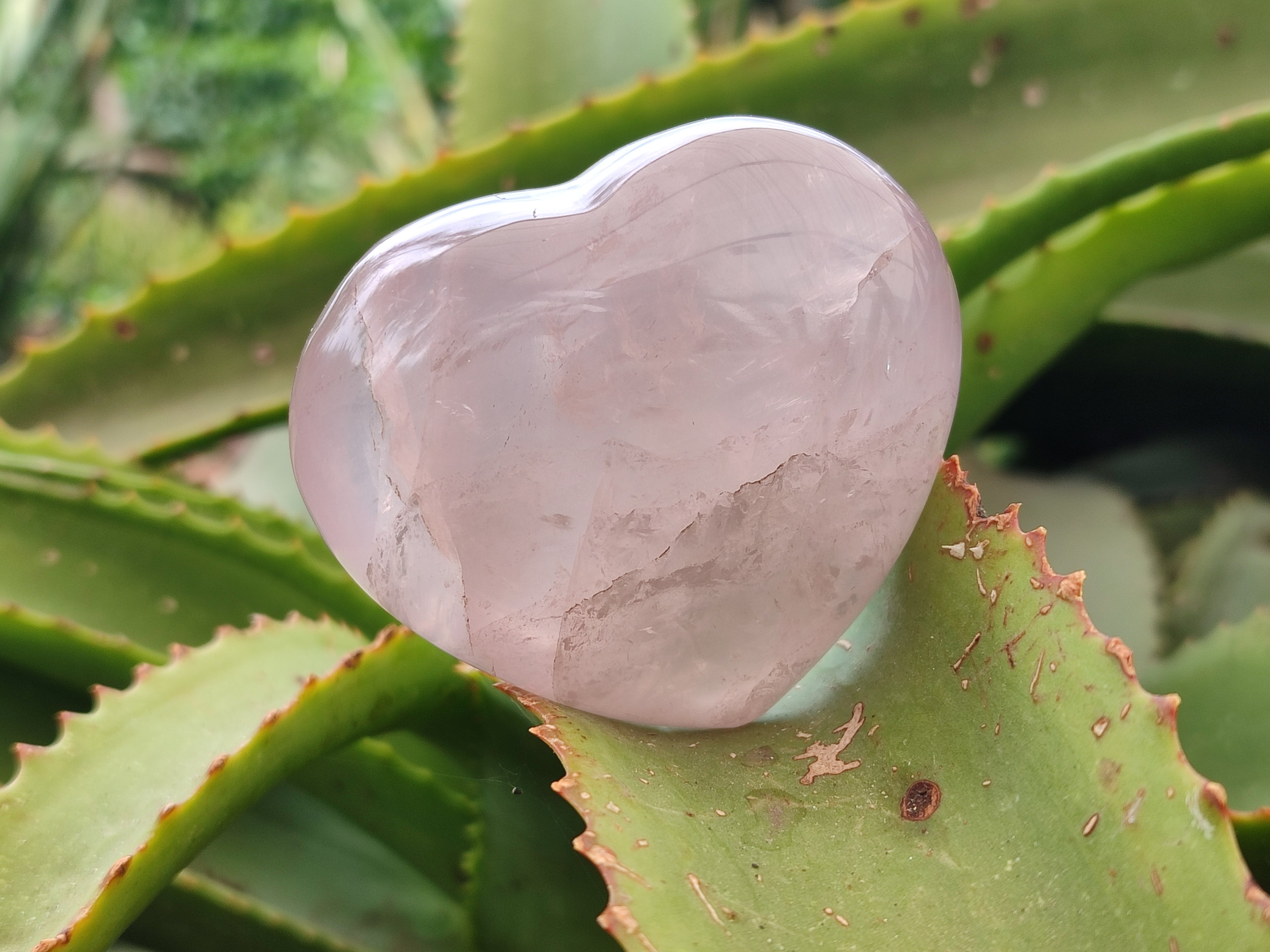 Polished Rose Quartz Hearts x 6 From Ambatondrazaka, Madagascar - Toprock Gemstones and Minerals 