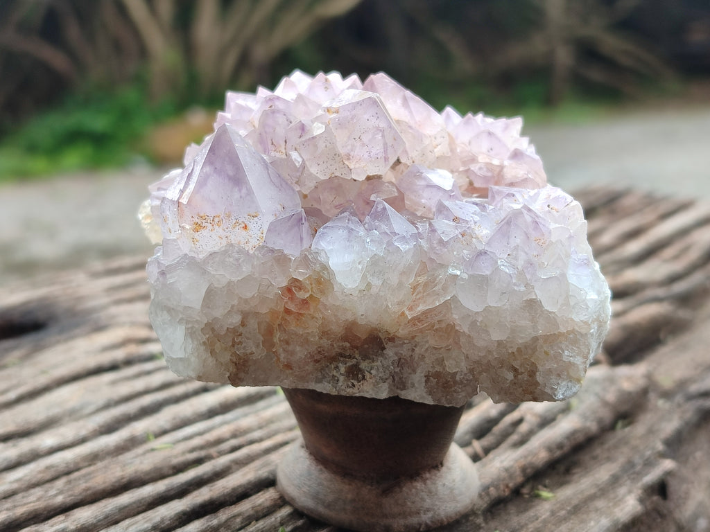 Natural Amethyst Spirit Quartz Clusters x 6 From Boekenhouthoek, South Africa - Toprock Gemstones and Minerals 