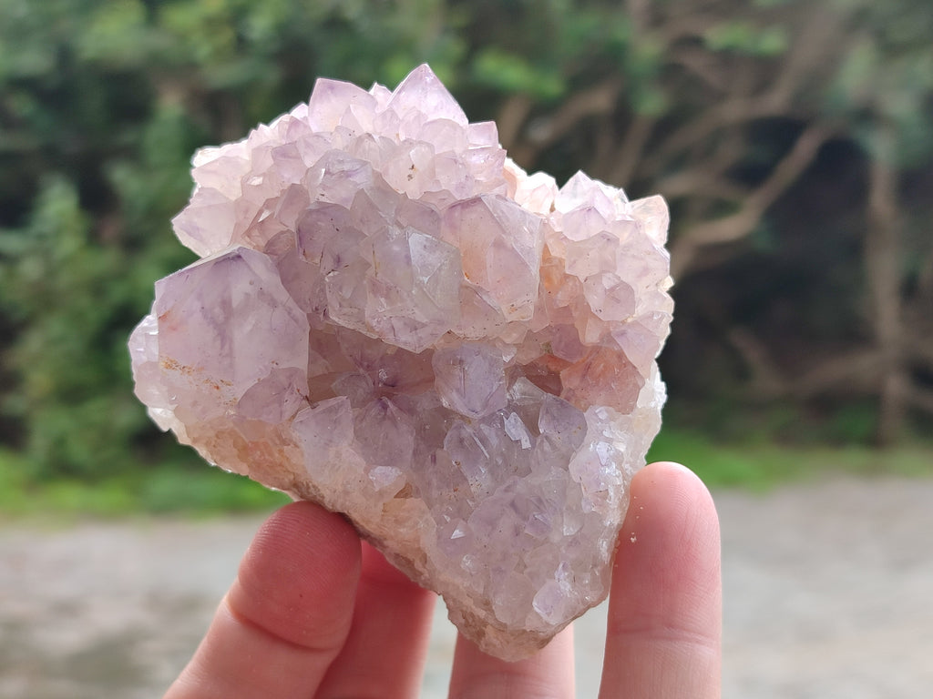 Natural Amethyst Spirit Quartz Clusters x 6 From Boekenhouthoek, South Africa - Toprock Gemstones and Minerals 