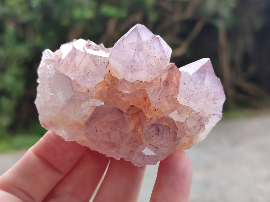 Natural Amethyst Spirit Quartz Clusters x 6 From Boekenhouthoek, South Africa - Toprock Gemstones and Minerals 