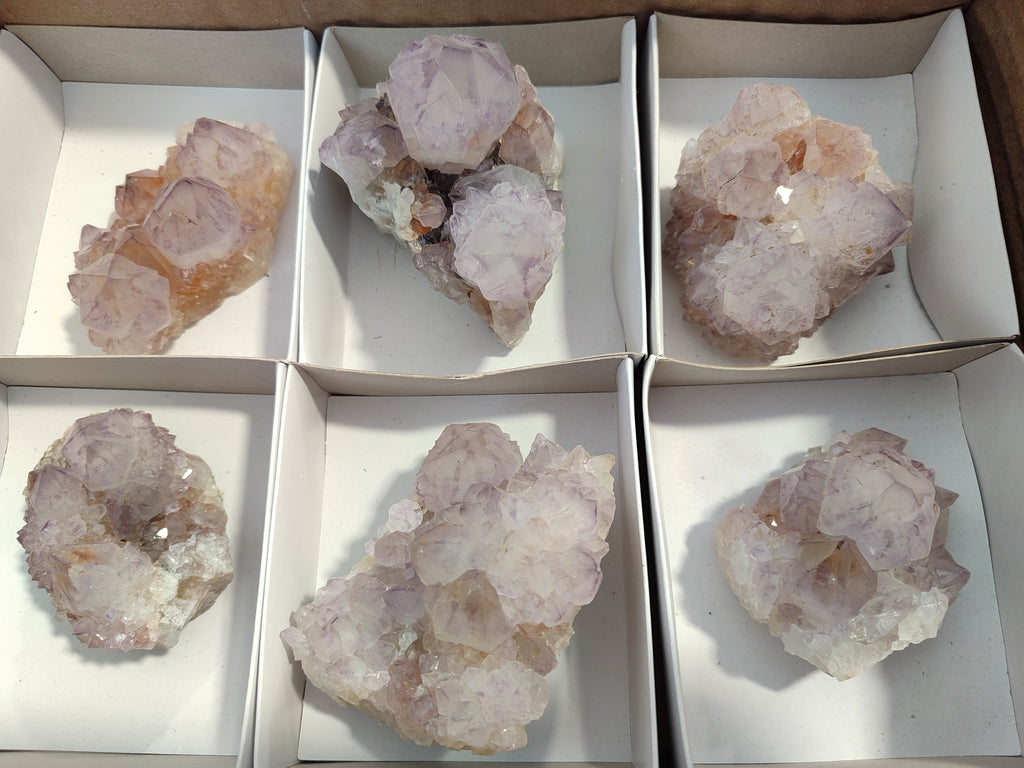 Natural Amethyst Spirit Quartz Clusters x 6 From Boekenhouthoek, South Africa - Toprock Gemstones and Minerals 