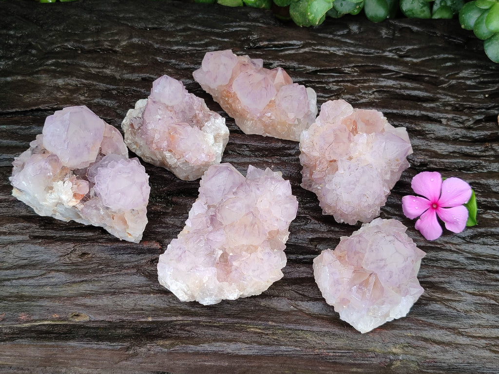 Natural Amethyst Spirit Quartz Clusters x 6 From Boekenhouthoek, South Africa - Toprock Gemstones and Minerals 