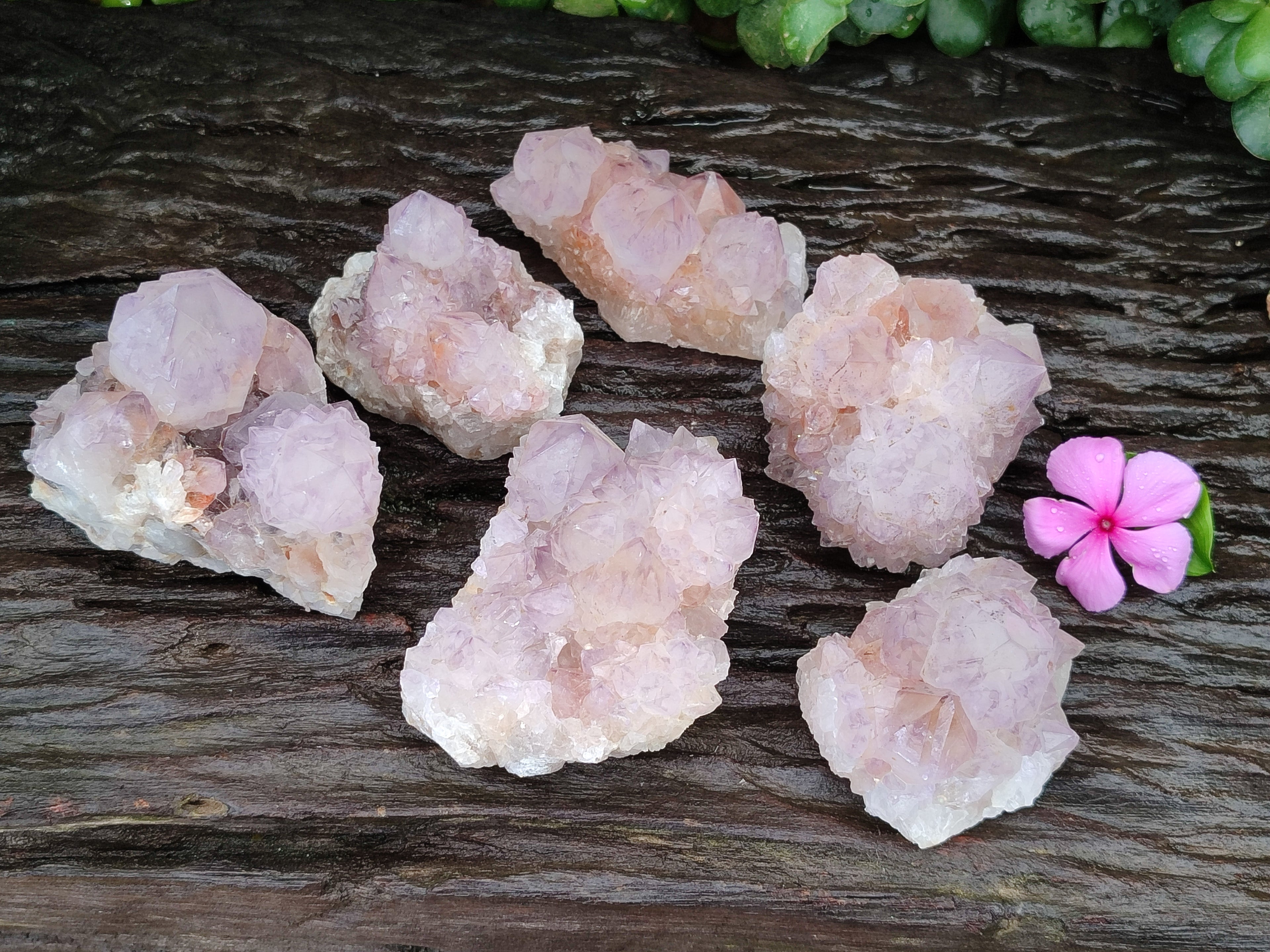Natural Amethyst Spirit Quartz Clusters x 6 From Boekenhouthoek, South Africa - Toprock Gemstones and Minerals 