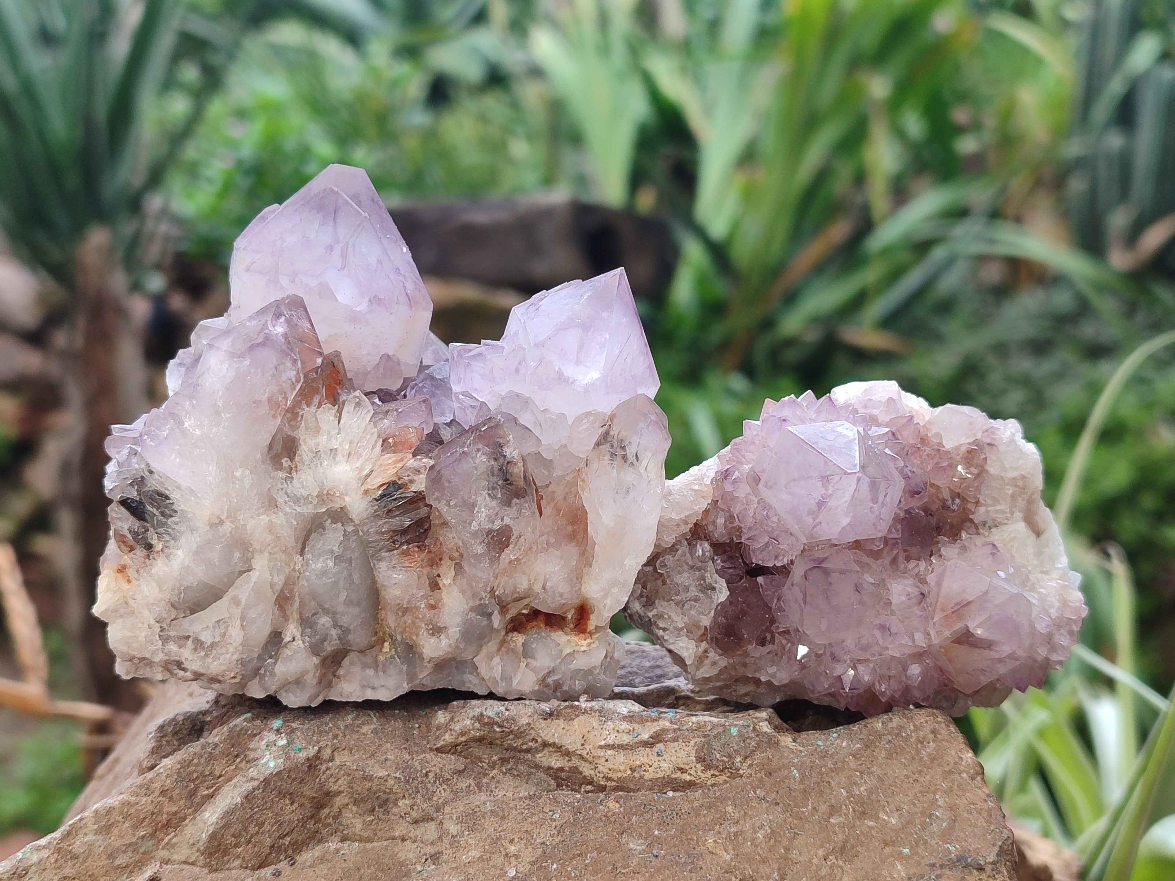 Natural Amethyst Spirit Quartz Clusters x 6 From Boekenhouthoek, South Africa - Toprock Gemstones and Minerals 