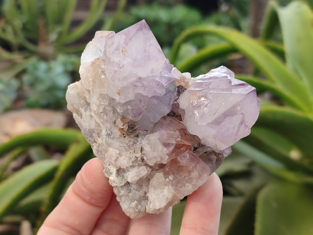 Natural Amethyst Spirit Quartz Clusters x 6 From Boekenhouthoek, South Africa - Toprock Gemstones and Minerals 