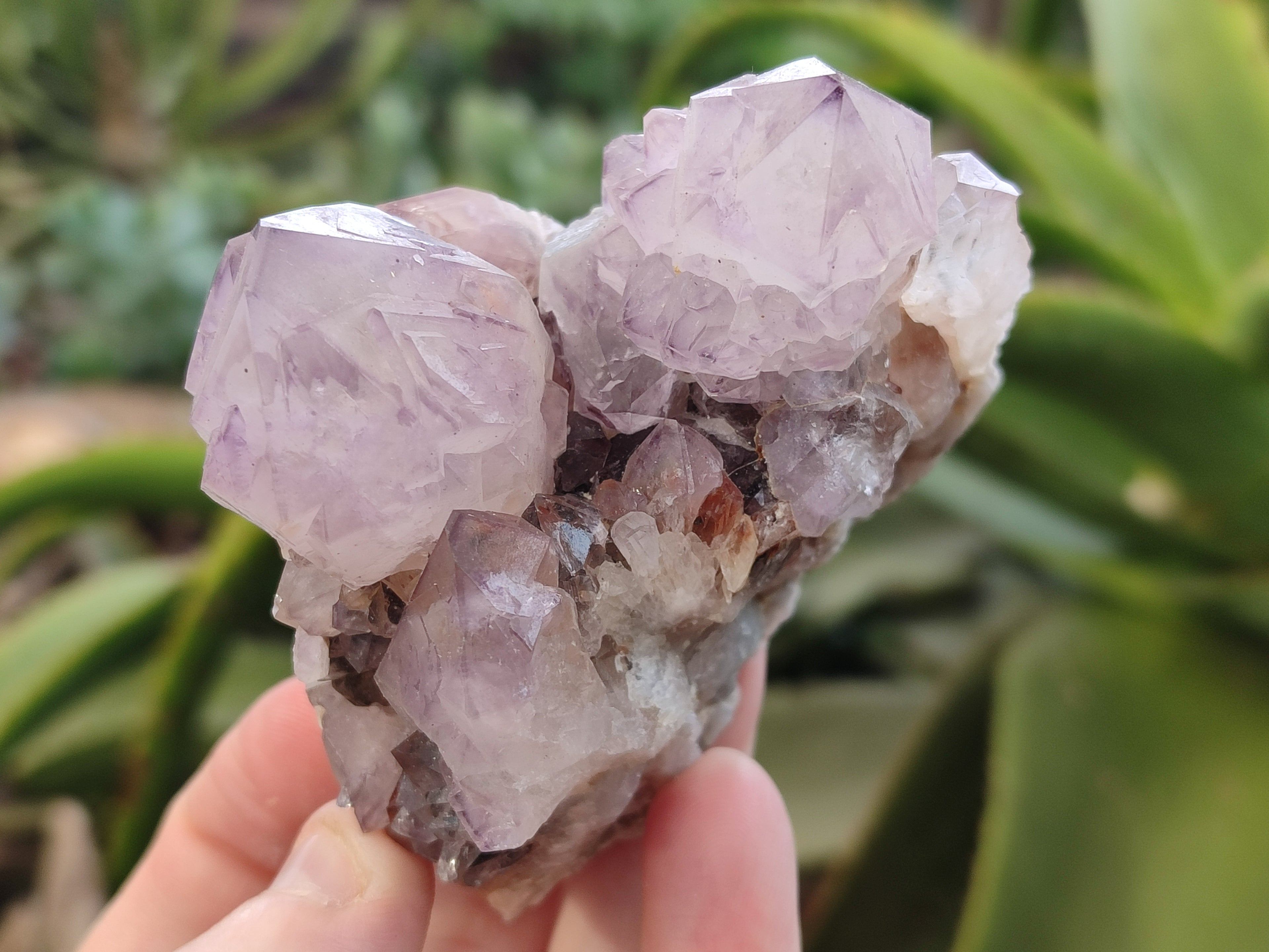 Natural Amethyst Spirit Quartz Clusters x 6 From Boekenhouthoek, South Africa - Toprock Gemstones and Minerals 