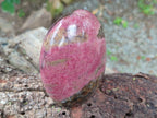 Polished Rhodonite Standing Free Form x 1 From Ambindavato, Madagascar - Toprock Gemstones and Minerals 
