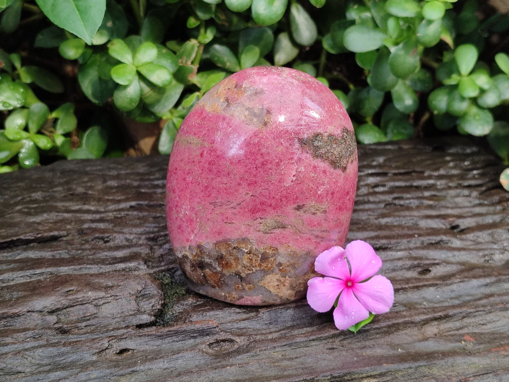 Polished Rhodonite Standing Free Form x 1 From Ambindavato, Madagascar - Toprock Gemstones and Minerals 