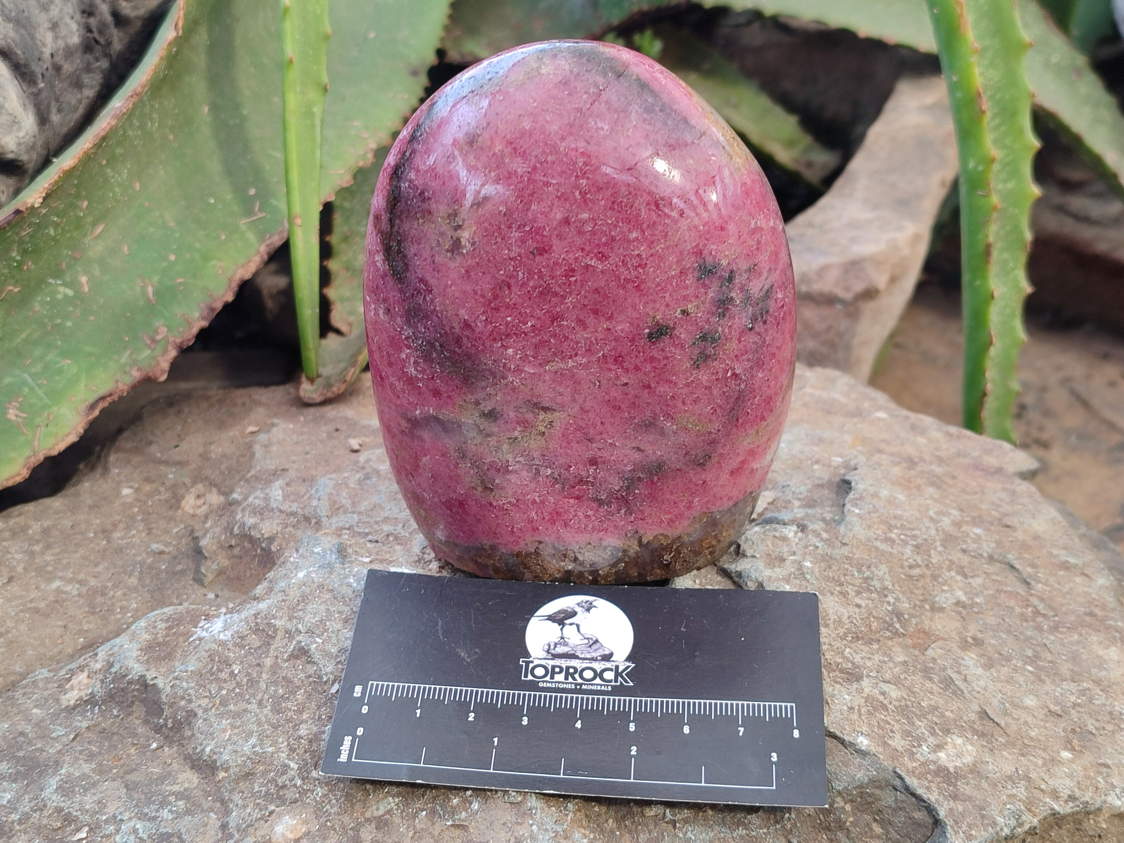 Polished Rhodonite Standing Free Form x 1 From Ambindavato, Madagascar - Toprock Gemstones and Minerals 