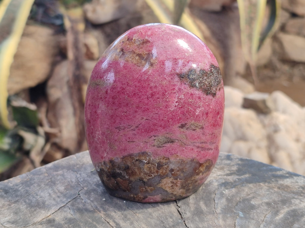 Polished Rhodonite Standing Free Form x 1 From Ambindavato, Madagascar - Toprock Gemstones and Minerals 