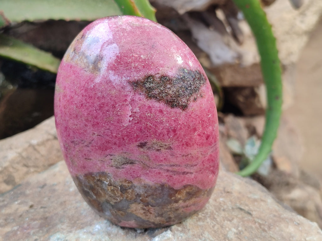 Polished Rhodonite Standing Free Form x 1 From Ambindavato, Madagascar - Toprock Gemstones and Minerals 