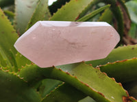 Polished Double Terminated Rose Quartz Points x 6 From Ambatondrazaka, Madagascar