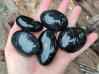 Polished Black Basalt Palm Stones x 19 From Antsirabe, Madagascar