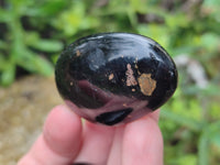 Polished Black Basalt Palm Stones x 19 From Antsirabe, Madagascar