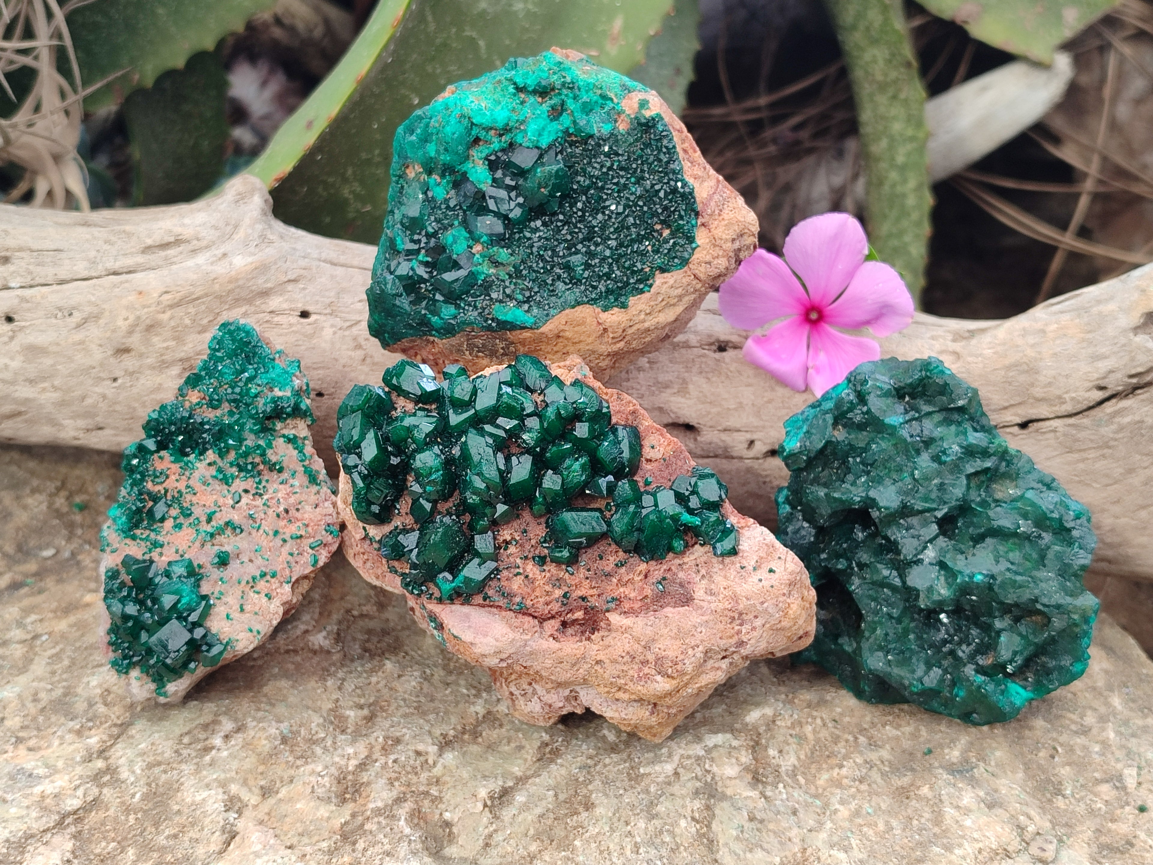 Natural Rare Dioptase and Malachite Specimens x 4 From Likasi, Congo - Toprock Gemstones and Minerals 