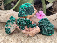 Natural Rare Dioptase and Malachite Specimens x 4 From Likasi, Congo