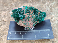 Natural Rare Dioptase and Malachite Specimens x 4 From Likasi, Congo