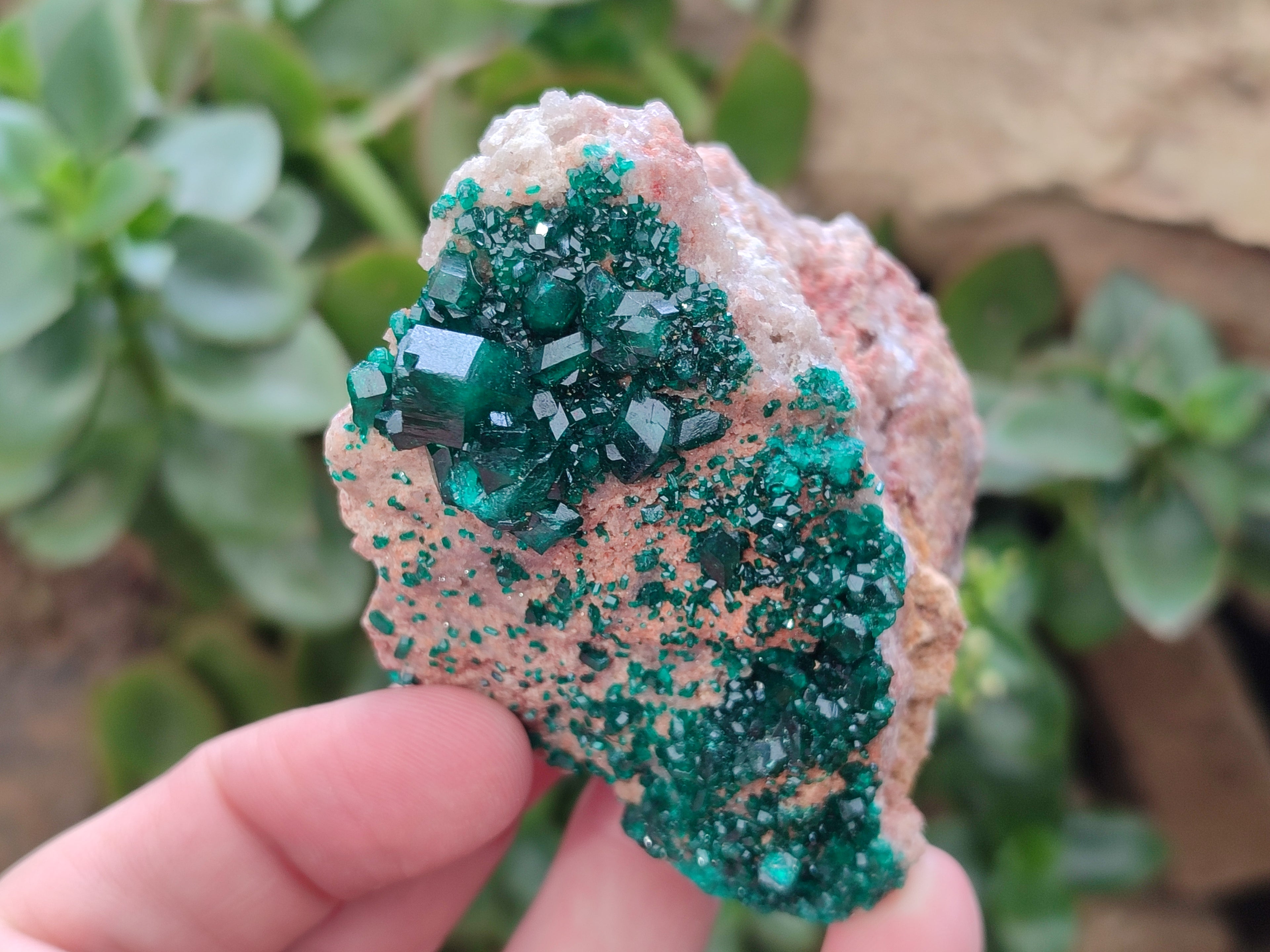 Natural Rare Dioptase and Malachite Specimens x 4 From Likasi, Congo - Toprock Gemstones and Minerals 