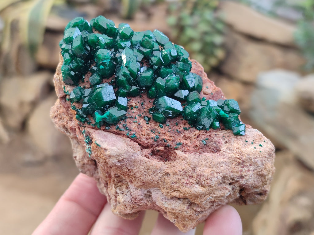 Natural Rare Dioptase and Malachite Specimens x 4 From Likasi, Congo - Toprock Gemstones and Minerals 