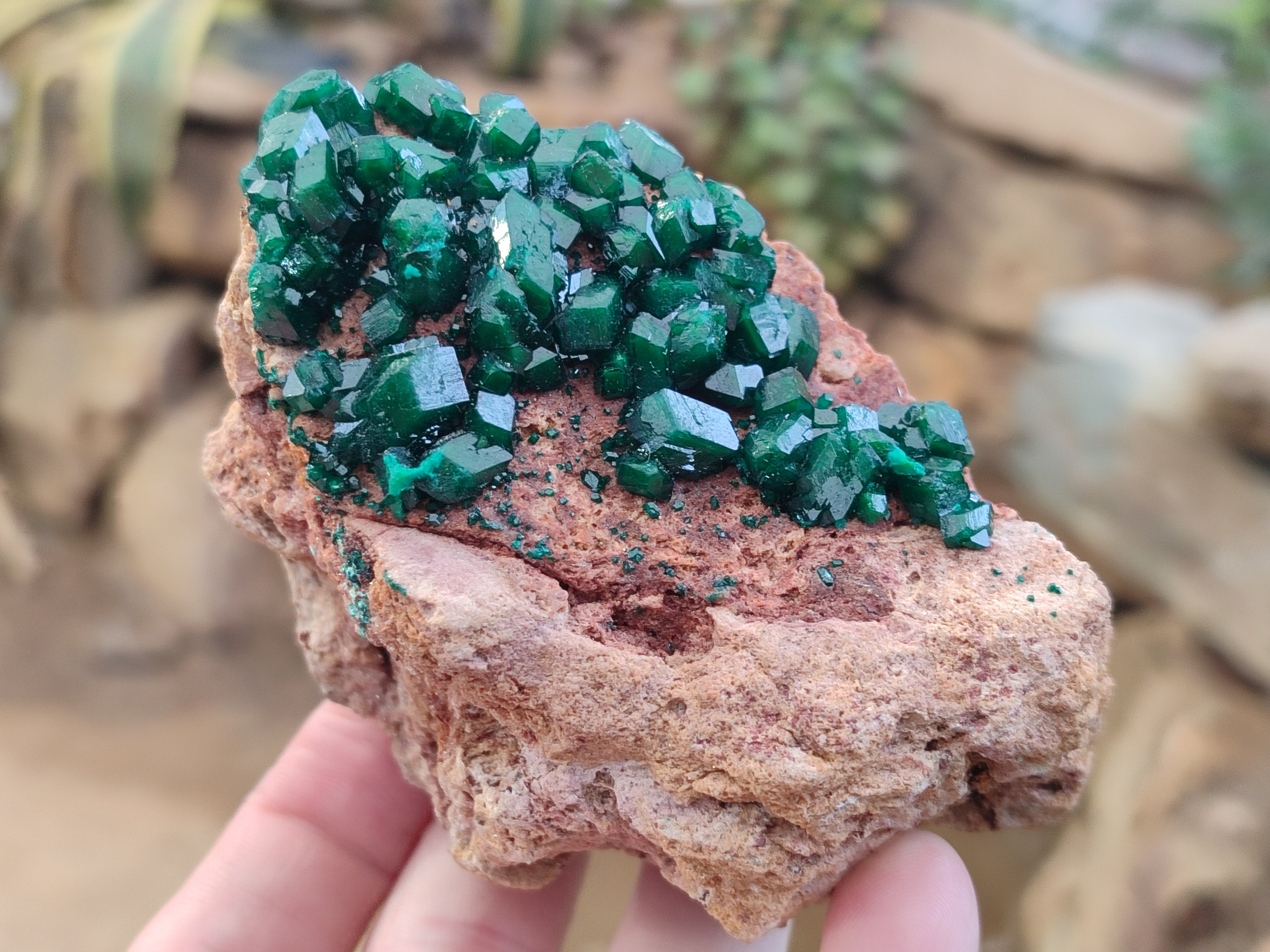 Natural Rare Dioptase and Malachite Specimens x 4 From Likasi, Congo - Toprock Gemstones and Minerals 