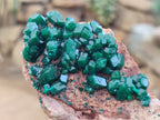 Natural Rare Dioptase and Malachite Specimens x 4 From Likasi, Congo - Toprock Gemstones and Minerals 