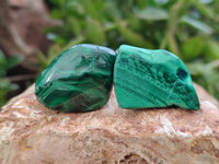 Polished Flower Banded Malachite Free Forms x 92 From Congo