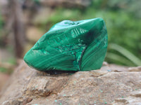 Polished Flower Banded Malachite Free Forms x 92 From Congo