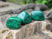 Polished Flower Banded Malachite Free Forms x 92 From Congo
