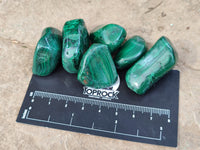 Polished Flower Banded Malachite Free Forms x 92 From Congo