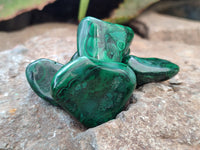 Polished Flower Banded Malachite Free Forms x 92 From Congo