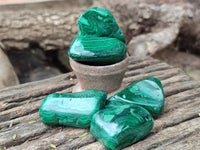 Polished Flower Banded Malachite Free Forms x 92 From Congo