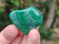 Polished Flower Banded Malachite Free Forms x 92 From Congo
