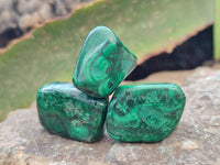 Polished Flower Banded Malachite Free Forms x 92 From Congo