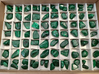 Polished Flower Banded Malachite Free Forms x 92 From Congo