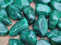 Polished Flower Banded Malachite Free Forms x 92 From Congo