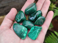 Polished Flower Banded Malachite Free Forms x 92 From Congo