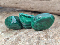 Polished Flower Banded Malachite Free Forms x 92 From Congo