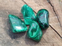 Polished Flower Banded Malachite Free Forms x 92 From Congo
