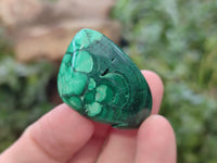 Polished Flower Banded Malachite Free Forms x 92 From Congo