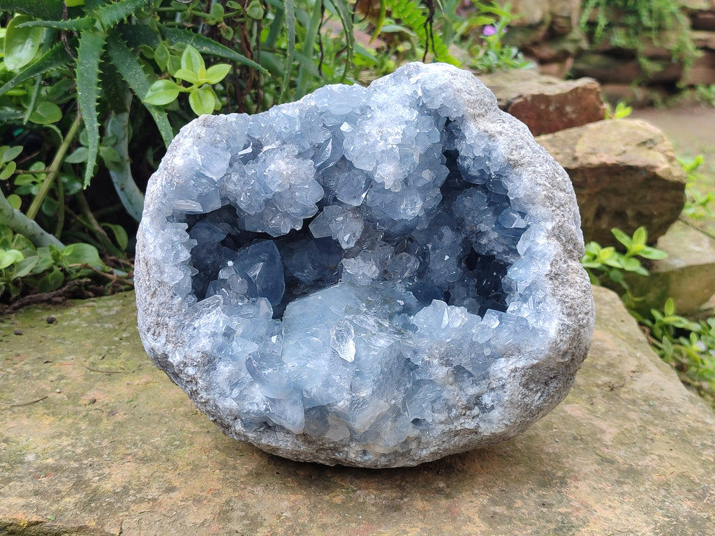 Natural Large Celestite Geode Specimens x 1 From Sakoany, Madagascar - Toprock Gemstones and Minerals 