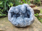 Natural Large Celestite Geode Specimens x 1 From Sakoany, Madagascar - Toprock Gemstones and Minerals 
