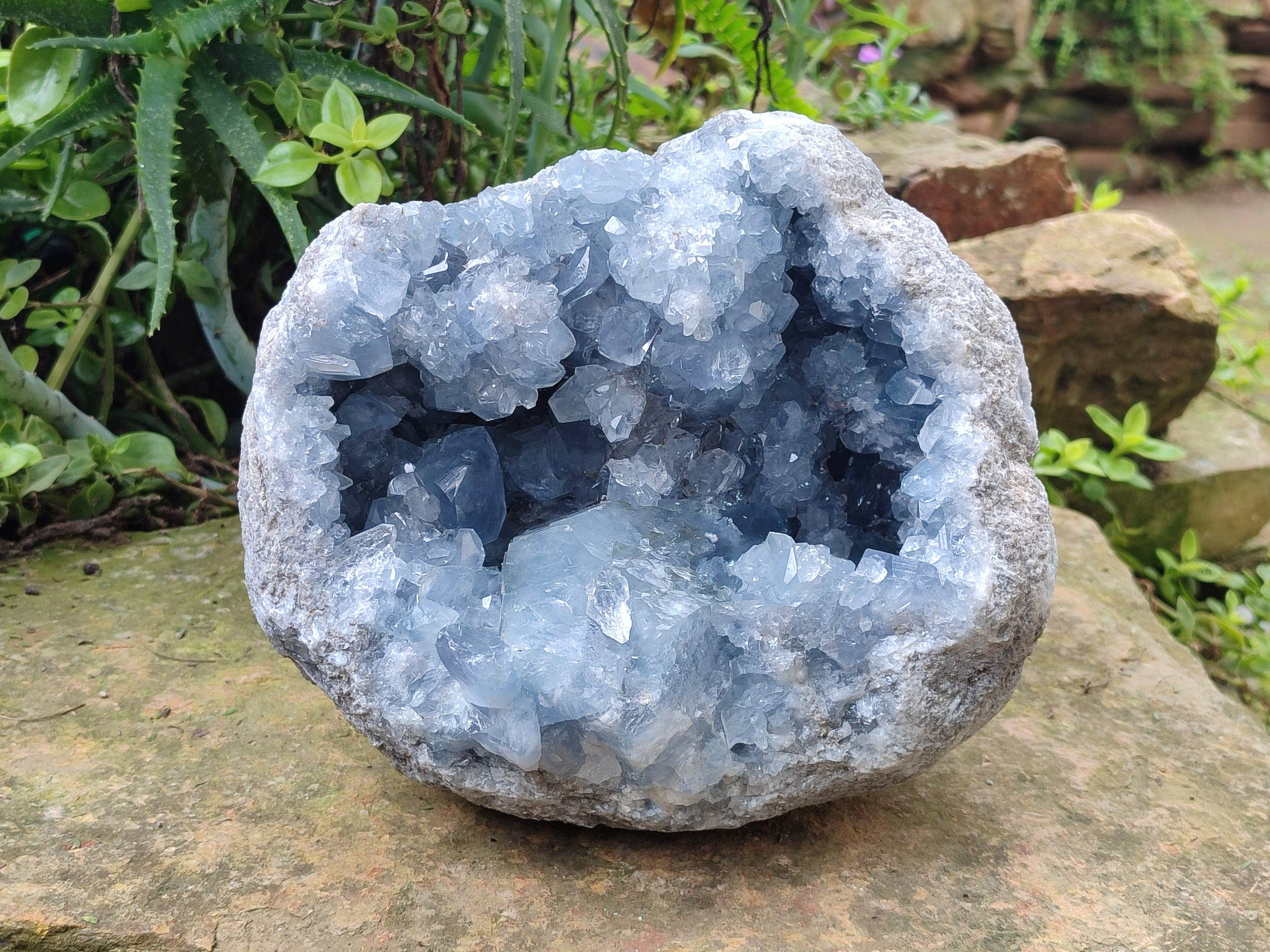 Natural Large Celestite Geode Specimens x 1 From Sakoany, Madagascar - Toprock Gemstones and Minerals 