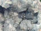 Natural Large Celestite Geode Specimens x 1 From Sakoany, Madagascar - Toprock Gemstones and Minerals 