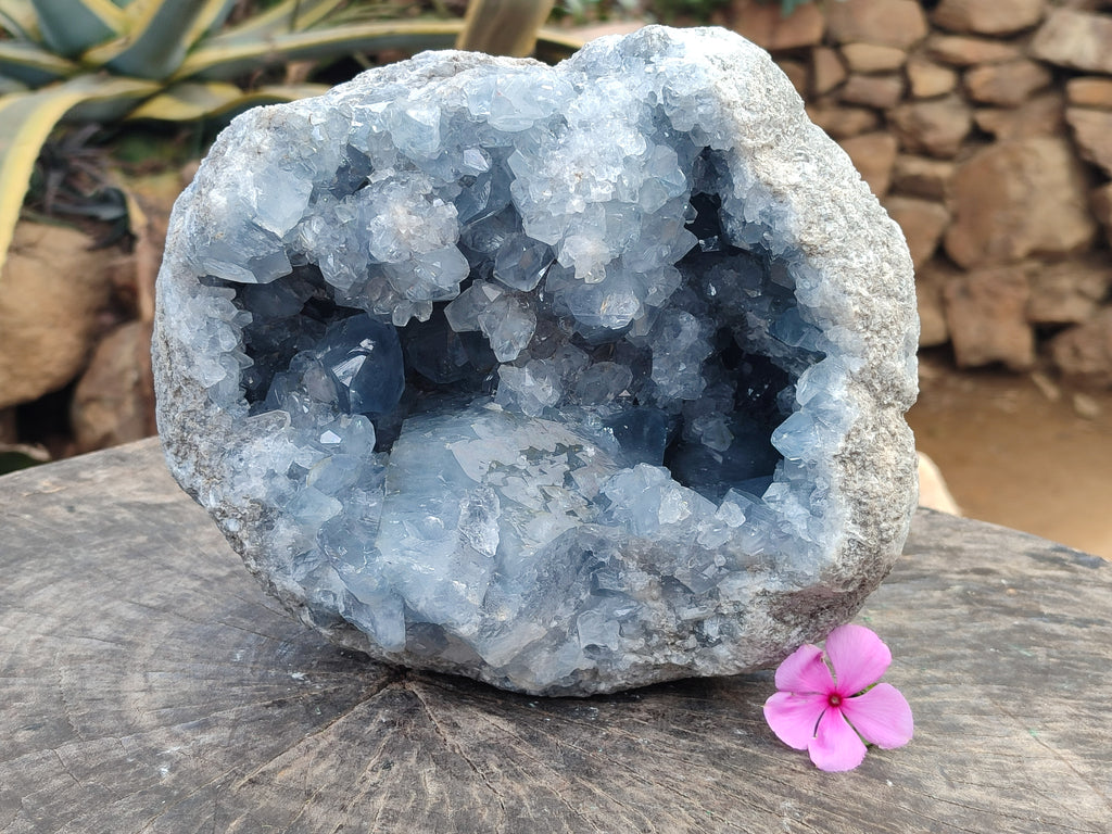 Natural Large Celestite Geode Specimens x 1 From Sakoany, Madagascar - Toprock Gemstones and Minerals 