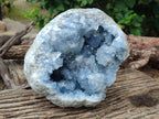 Natural Large Celestite Geode Specimens x 1 From Sakoany, Madagascar - Toprock Gemstones and Minerals 