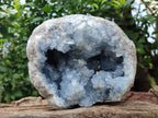 Natural Large Celestite Geode Specimens x 1 From Sakoany, Madagascar - Toprock Gemstones and Minerals 