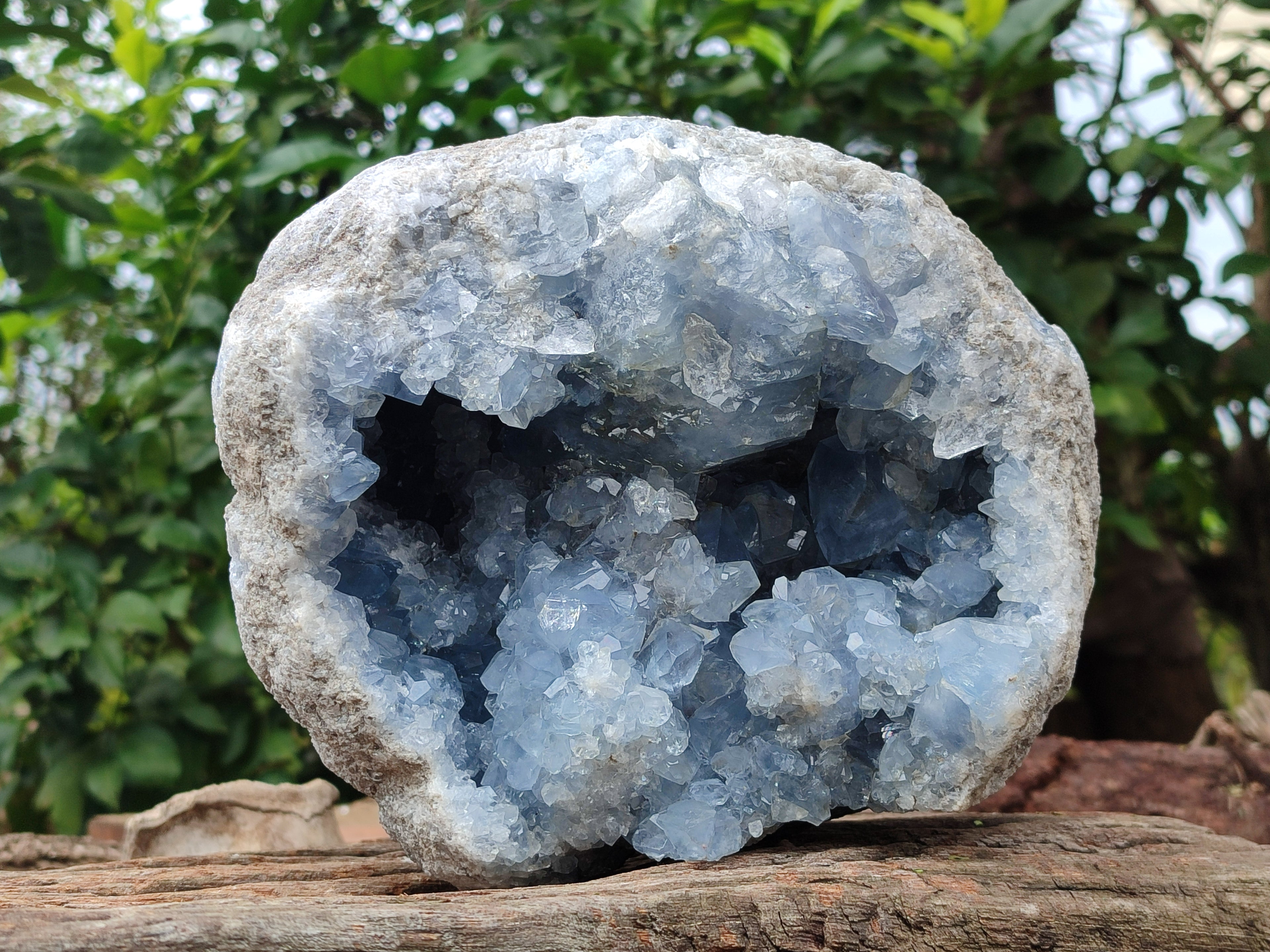 Natural Large Celestite Geode Specimens x 1 From Sakoany, Madagascar - Toprock Gemstones and Minerals 